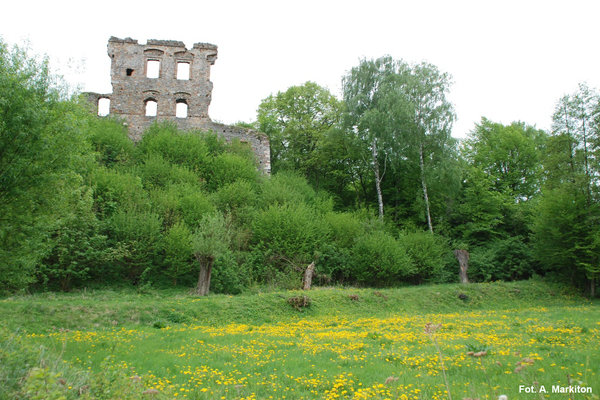 Międzygórz - Zamek - Zamek był otoczony fosą