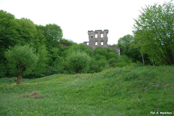 Międzygórz - Zamek - Ruiny zamku położone na wyniosłym cyplu