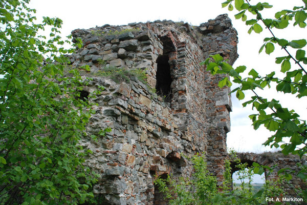 Międzygórz - Zamek - Kamień do budowy zamku wydobywany był w pobliskich kamieniołomach