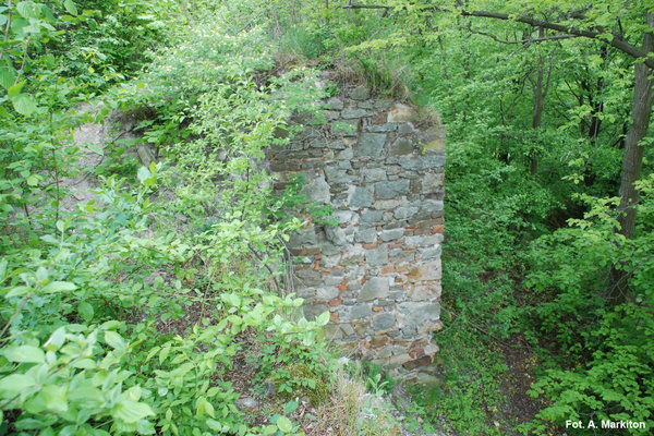 Międzygórz - Zamek - Pozostałości murów zewnętrznych