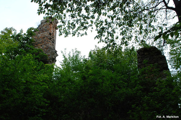 Międzygórz - Zamek - Fragmenty elewacji południowo-wschodnie
