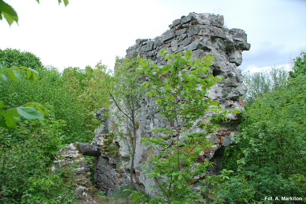 Międzygórz - Zamek - Zachowane fragmenty murów w części północno - zachodniej