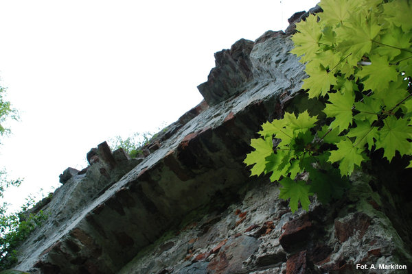 Międzygórz - Zamek - Zachowane fragmenty murów w części północno – zachodniej 