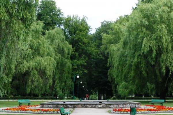 Park im. Tarnowskich w Końskich - Fot. Barbara Jankowska-Piróg