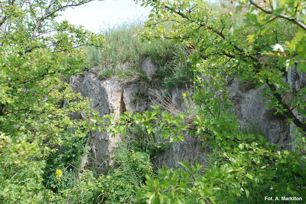 Rezerwat przyrody Przęślin - Wychodnia gipsowa
