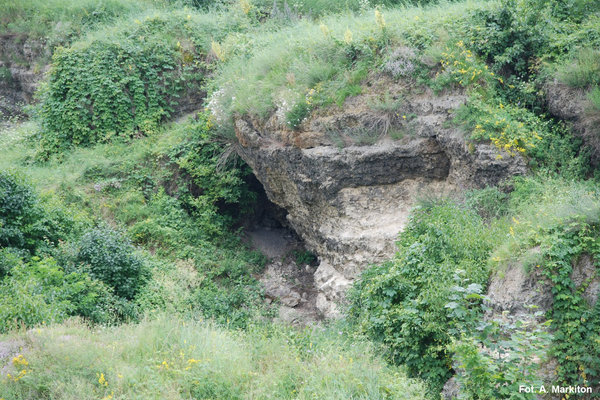 Rezerwat Przyrody Skorocice - Rumowisko skalne.