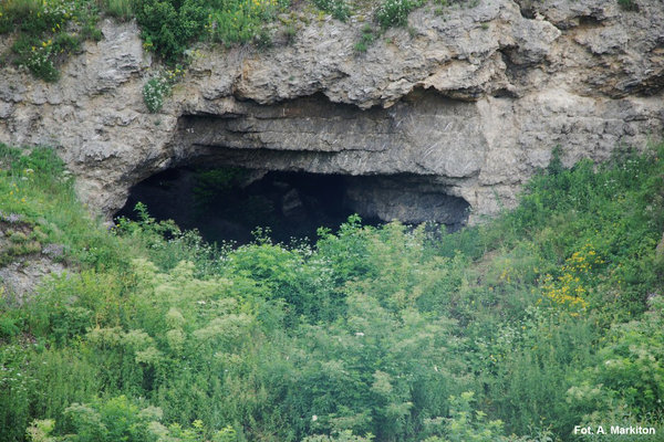 Rezerwat Przyrody Skorocice - Brama skalna.