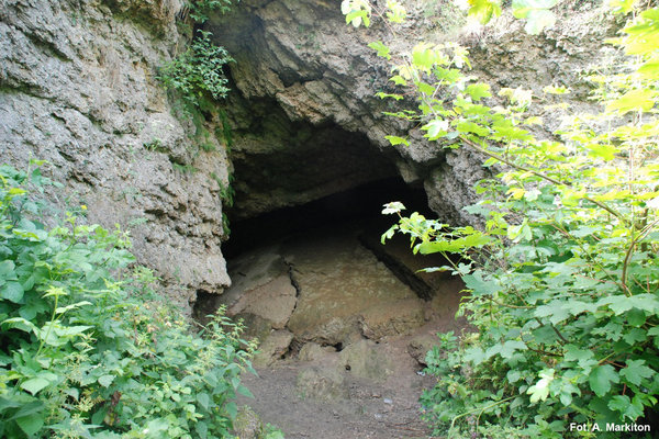 Rezerwat Przyrody Skorocice - Jaskinia Skorocicka.