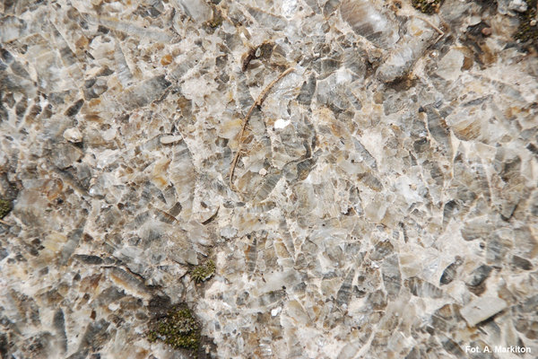 Rezerwat Przyrody Skorocice - wielkokrystaliczne gipsy szklicowe