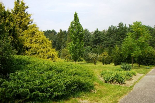 Ogród botaniczny - Fot. Edyta Ruszkowska