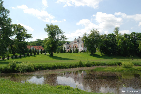 Pałac w Czyżowie Szlacheckim - Pałac usytuowany na niewielkim wzgórzu.