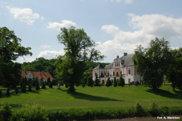Pałac w Czyżowie Szlacheckim - Pałac otoczony parkiem.
