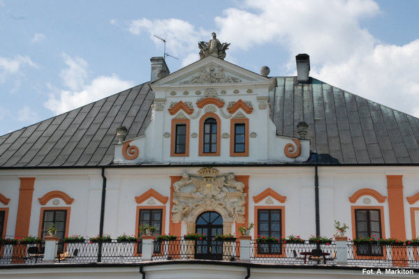 Pałac w Czyżowie Szlacheckim - Okna prostokątne w gładkich opaskach z profilowanymi naczółkami.