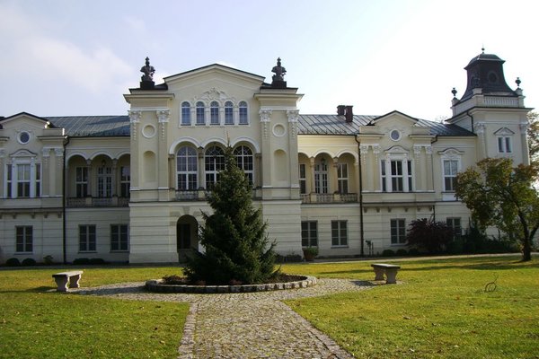 Górki Klimontowskie - pałac