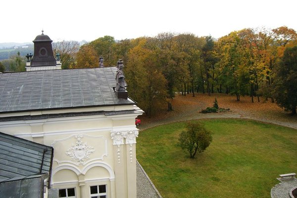 Pałac w Górkach Klimontowskich - Widok z wieży. Fot. Edyta Ruszkowska