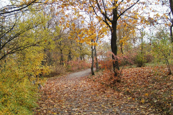 Jesienny spacer po Kielcach - Fot. Agnieszka Markiton