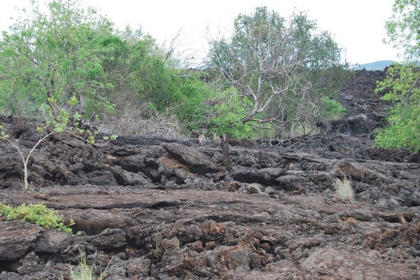 Kenia - Skały magmowe. Fot. Patryk Stępień