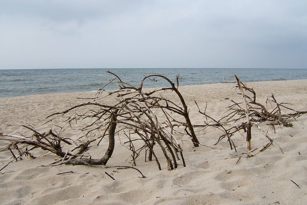 Bałtycka plaża - Fot. Agnieszka Markiton