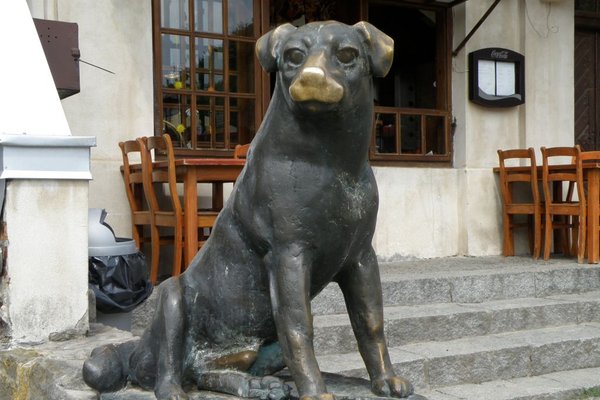 Pomnik psa Werniksa - Pomnik znajduje się przed Domem Kifnerów z początków XX wieku. Fot. Edyta Ruszkowska