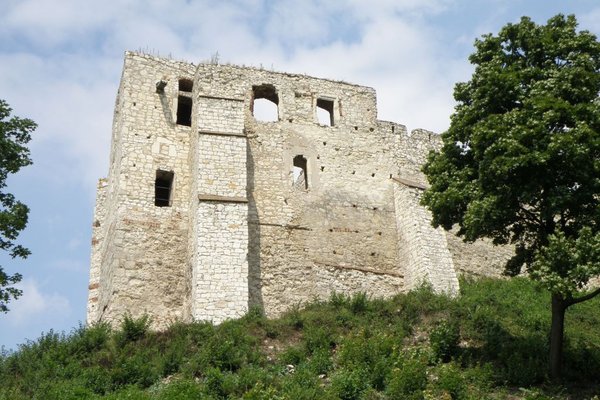 Ruiny zamku - Zamek został wzniesiony w drugiej połowie XIV wieku. Fot. Edyta Ruszkowska