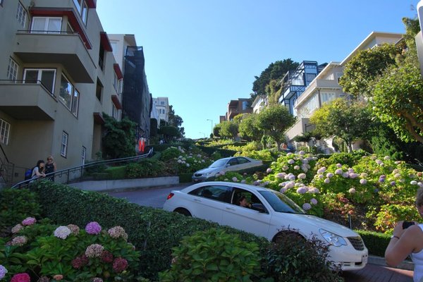 Lombard Street w San Francisco - Fot. Patryk Stępień