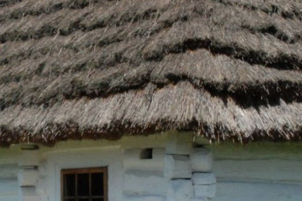 Chałupa z Rokitna - Ściany wieńcowe węgłowane na okap