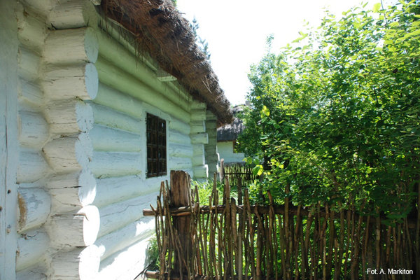 Chałupa z Bronkowic - 16-polowe okno frontowe, pod nim ogródek