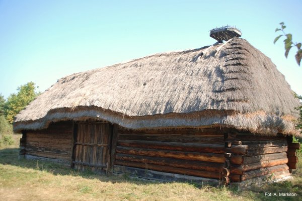Zagroda z Radkowic - Czterospadowy dach  ze strzechą w narożach ułożoną schodkowo