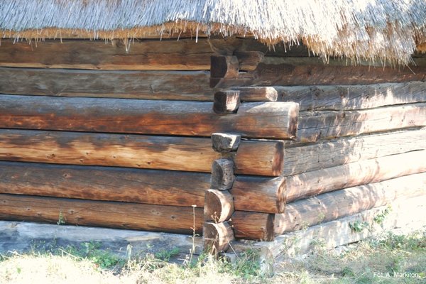 Zagroda z Radkowic - Ściany wieńcowe stodoły węgłowane na obłap