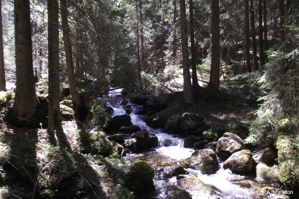 Dolina Małej Łąki - Małołącki Potok