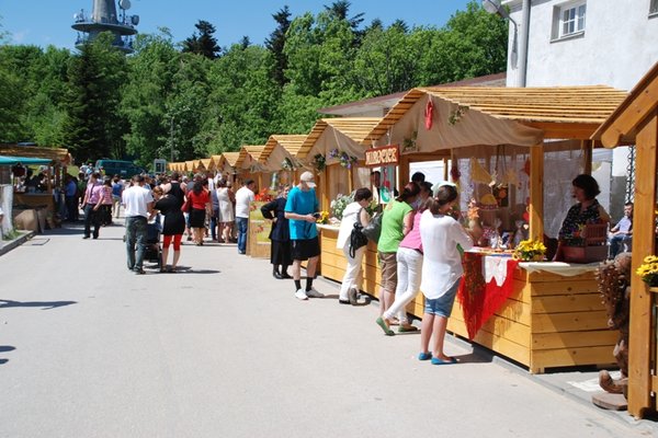 Jarmark Świętokrzyski - Fot. Agnieszka Markiton