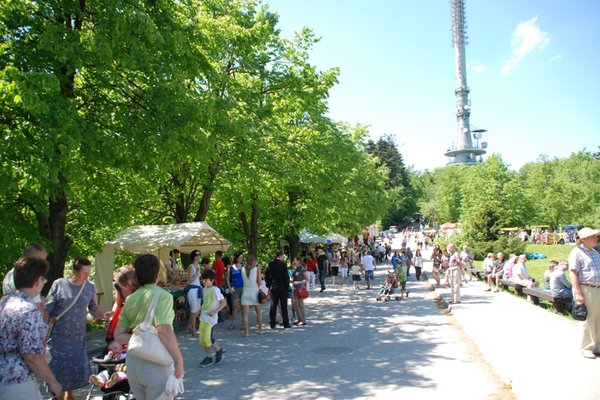 Jarmark Świętokrzyski - Fot. Agnieszka Markiton