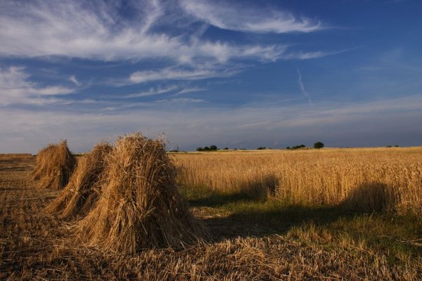 Ach, świętokrzyskie czaruje - Praca Marcina Gardyjana nagrodzona w kategorii 