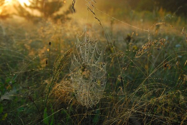 Spotkanie artystów w Maleńcu