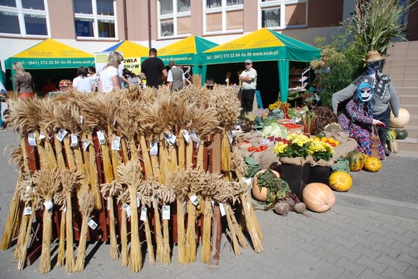 XIII Świętokrzyskie Dożynki Wojewódzkie - Fot. Agnieszka Markiton