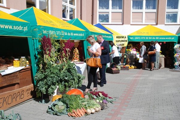 XIII Świętokrzyskie Dożynki Wojewódzkie - Fot. Agnieszka Markiton