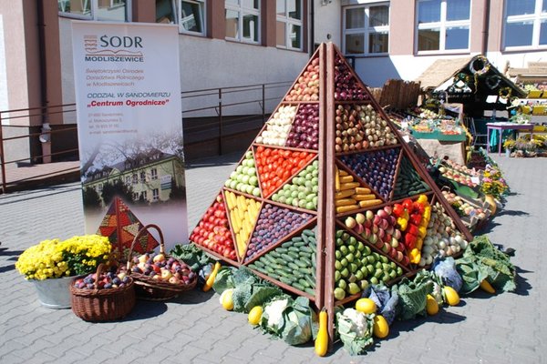 XIII Świętokrzyskie Dożynki Wojewódzkie - Fot. Agnieszka Markiton