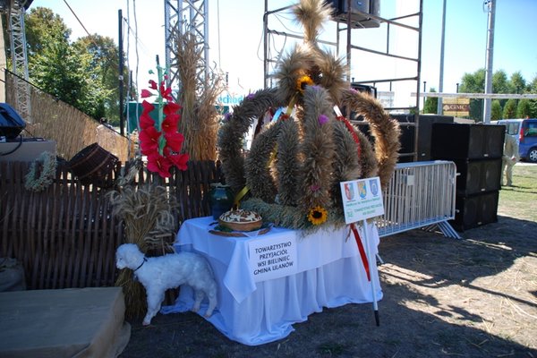 XIII Świętokrzyskie Dożynki Wojewódzkie - Fot. Agnieszka Markiton