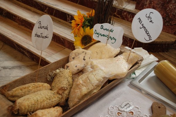 Targi w WDK - EKOLOGIA - NATURA - CZŁOWIEK
Fot. Krzysztof Herod