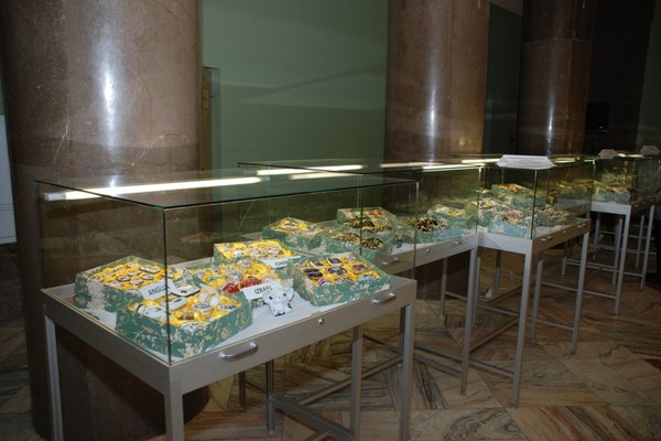 Puzderkowe zauroczenie - Fot. Agnieszka Markiton