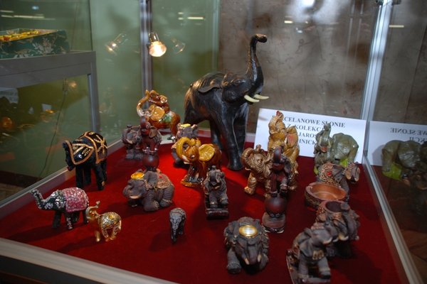 Puzderkowe zauroczenie - Fot. Agnieszka Markiton