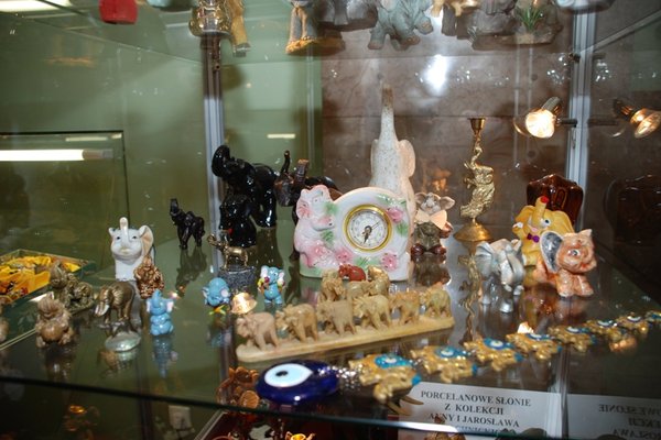 Puzderkowe zauroczenie - Fot. Agnieszka Markiton