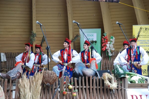 Koncert laureatów XXXVIII Buskich Spotkań z Folklorem - Zespół Pieśni i Tańca 