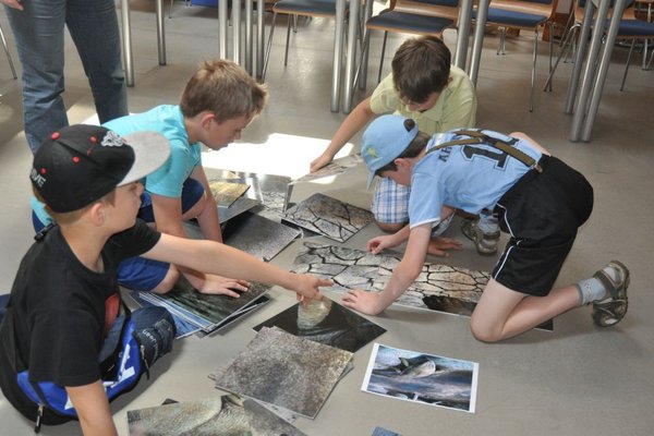 Wakacyjna Akademia Geologii - Źródło: Centrum Geoedukacji