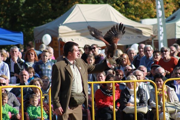 Hubertus Świętokrzyski 2014 - Fot. Mariusz Lis