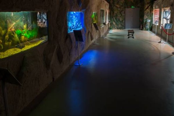 Zwiedzamy oceanarium