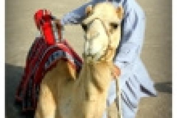 Dubaj zza złotej zasłony