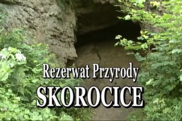 Rezerwat Przyrody Skorocice - Portal Informacji Kulturalnej