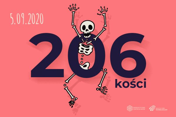 Warsztaty familijne: 206 kości