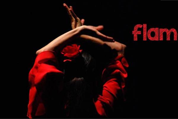 Koncert flamenco